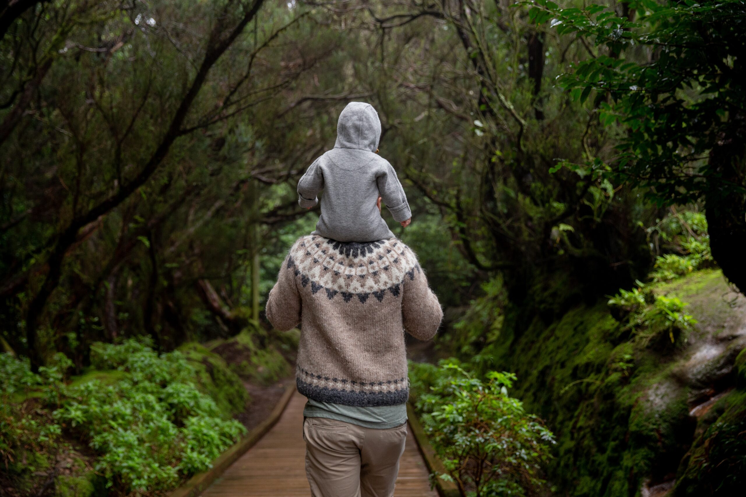 child on father's shoulders walking to woods